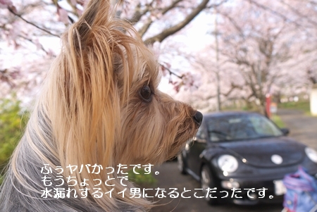 0420-029.jpg