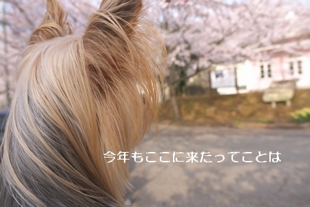 0420-030.jpg