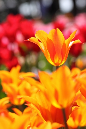 0430-040.jpg