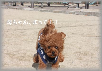 IMG_5397_R3.jpg