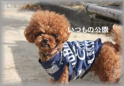 IMG_5399_R3.jpg