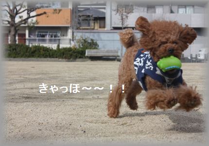 IMG_5405_R3.jpg