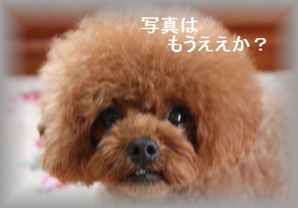 IMG_5473_R3.jpg