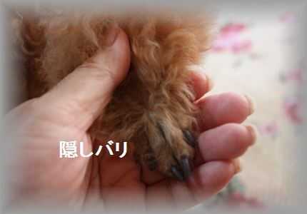 IMG_5480_R3.jpg