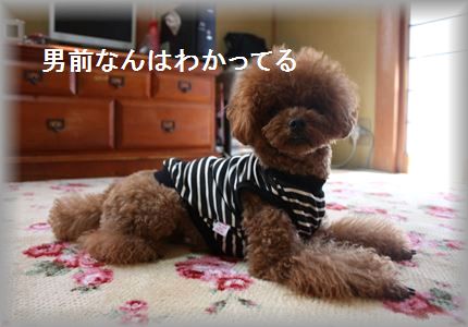 IMG_5548_R3.jpg