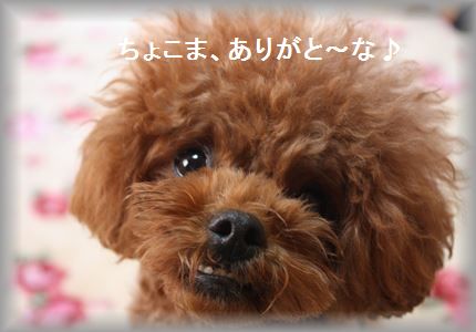 IMG_5550_R3.jpg