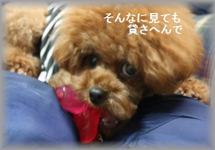 IMG_5556_R3.jpg
