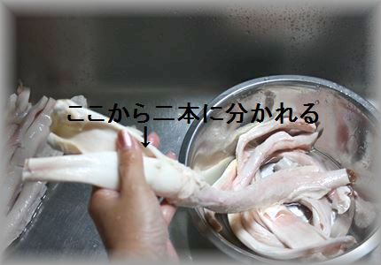 IMG_5562_R3.jpg