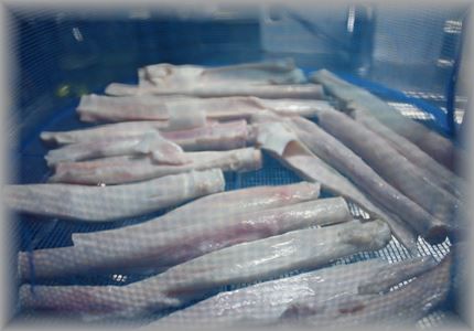 IMG_5564_R3.jpg