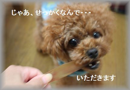 IMG_5574_R3.jpg