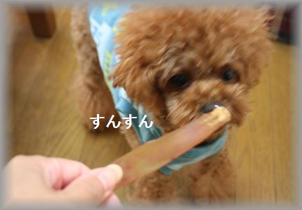 IMG_5575_R3.jpg
