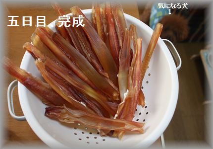 IMG_5577_R3.jpg
