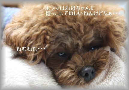 IMG_5582_R3.jpg