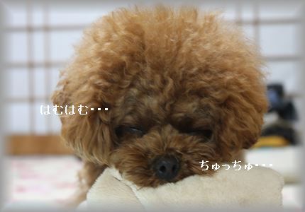 IMG_5588_R3.jpg