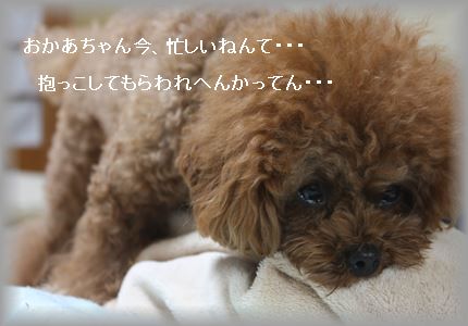 IMG_5594_R3.jpg