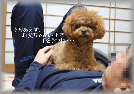 IMG_5599_R3.jpg