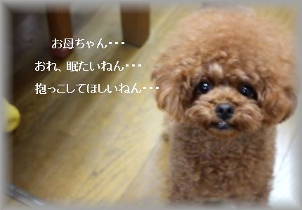 IMG_5627_R3.jpg
