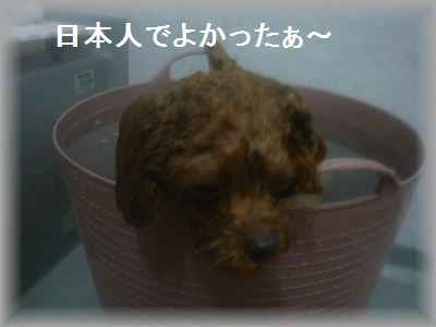 P1030572_R3.jpg