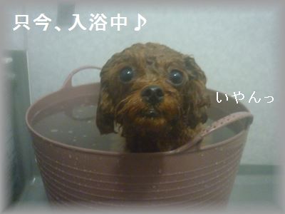 P1030573_R3.jpg