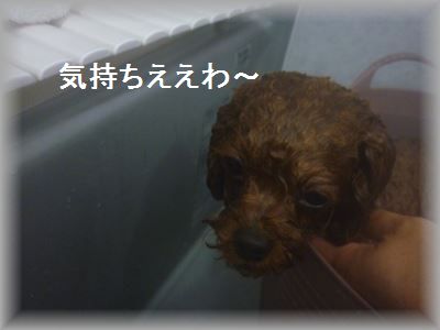 P1030574_R3.jpg