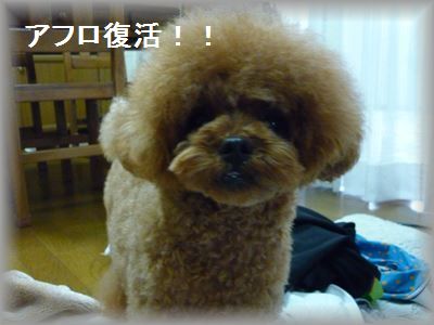 P1030580_R3.jpg