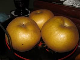 IMG_667.jpg