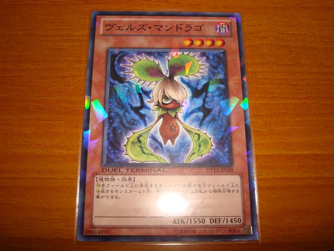 ヴェルズ・マンドラゴ
