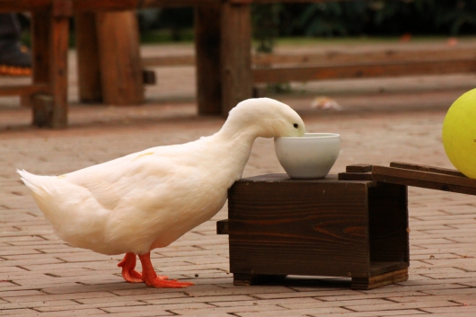 食べると