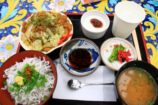 お昼ご飯は富士花鳥園定食、しらす丼と富士宮やきそば他諸々