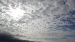 DSC100111_02910.jpg