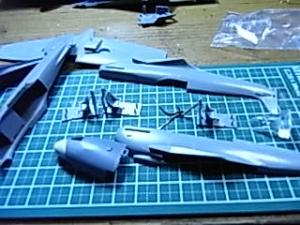 RIMG1194.jpg