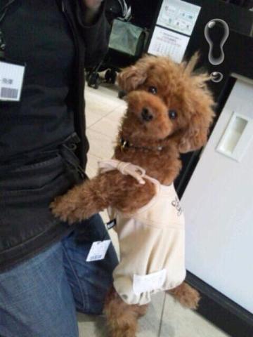 iphone_20120227123508.jpg