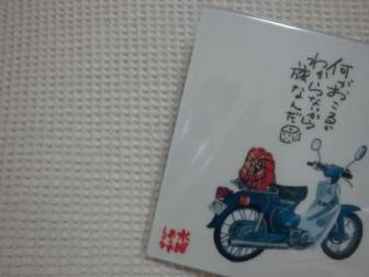 4_20111003230207.jpg