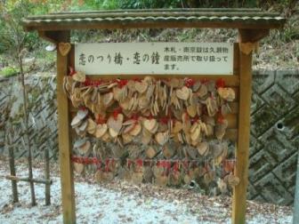 DSC00990.jpg