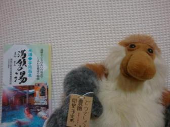 DSC01000.jpg