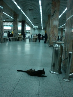 File_003.jpg