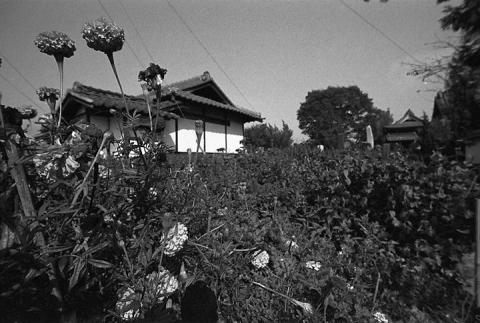 当時の安曇野#3