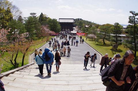 仁和寺の桜など#6