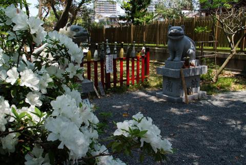 大江神社#6