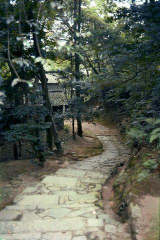 44年前の金閣#3