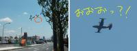 偵察中!?(違