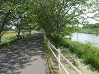 花見川サイクリングロード