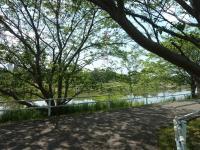 花見川サイクリングロード