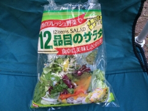 サラダのホットサンド