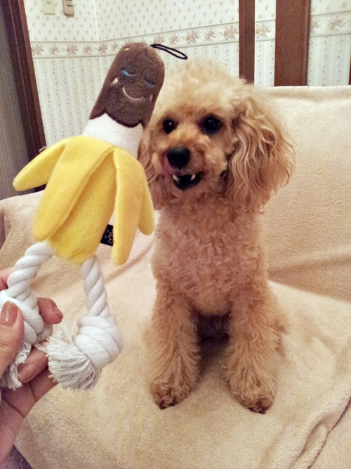 20130328_183312.jpg