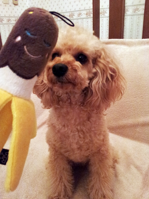 20130328_183318.jpg
