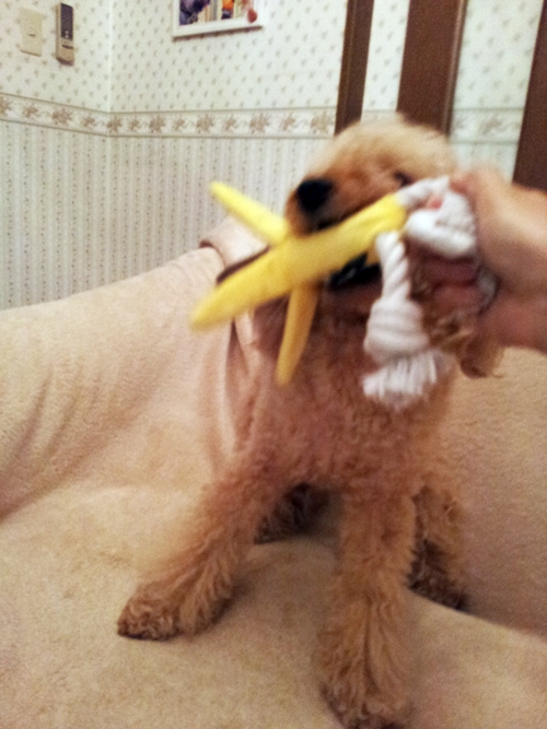 20130328_183501.jpg