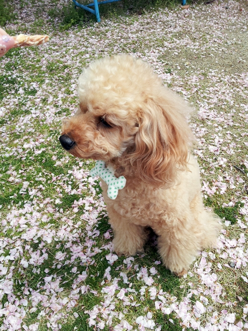 20130408_113740.jpg