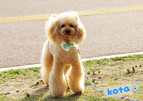 20130439.jpg