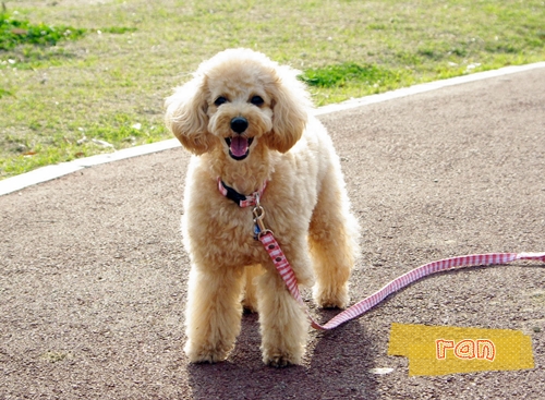 20130446.jpg